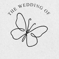 Little Butterfly