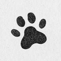 Cozy Paw