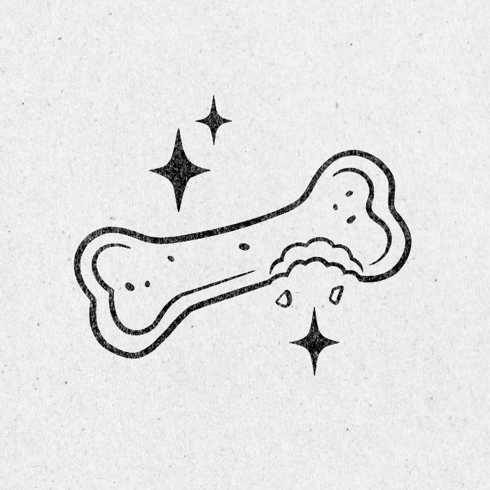 Dog Book Embosser