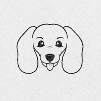Dachshund