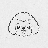 Poodle
