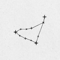 Gemini Constellation